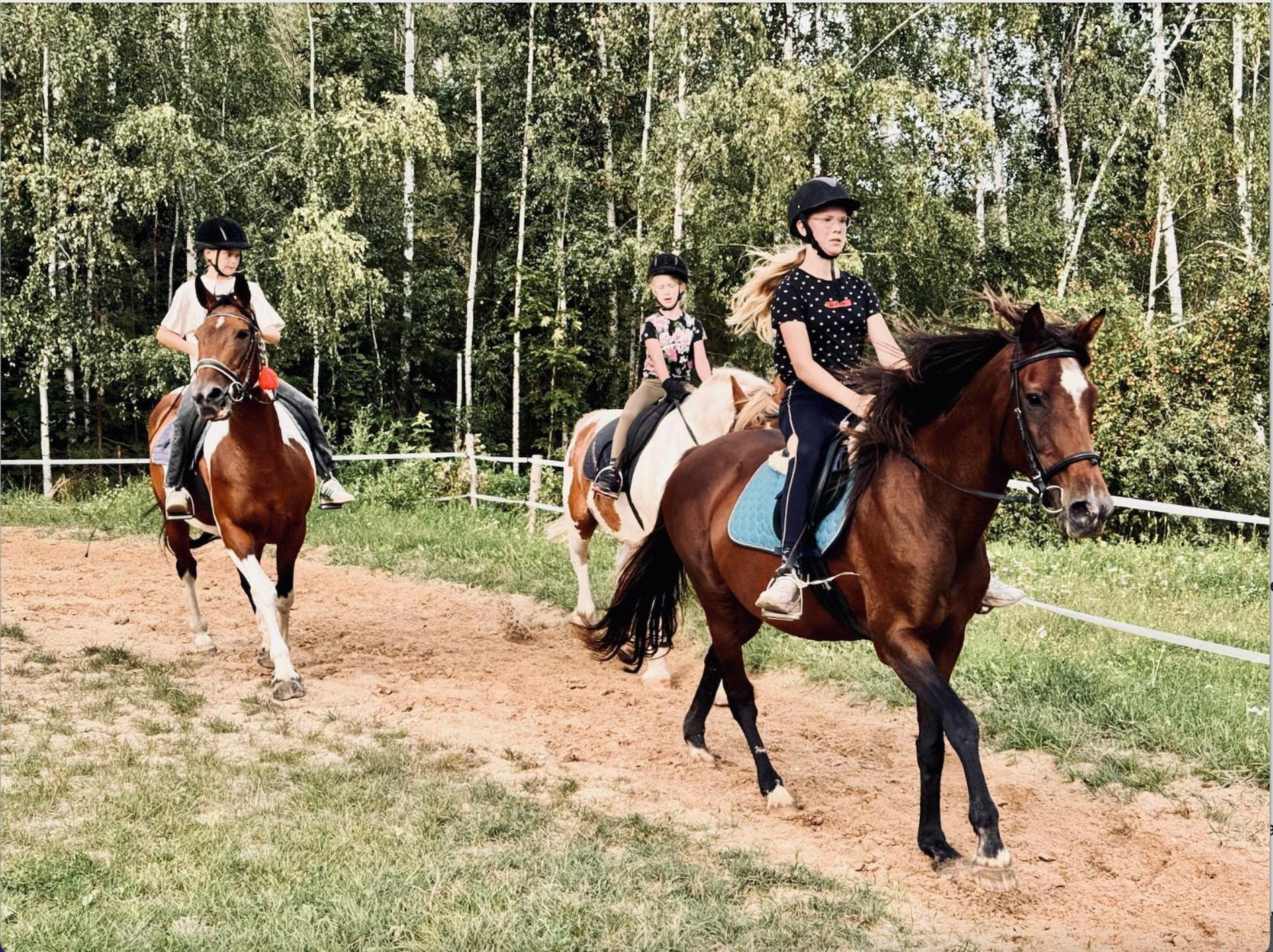 #1 Lakeview Paradise In Mazury, Pets Welcome Kosewo  外观 照片