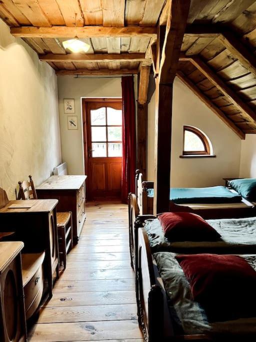 #1 Lakeview Paradise In Mazury, Pets Welcome Kosewo  外观 照片